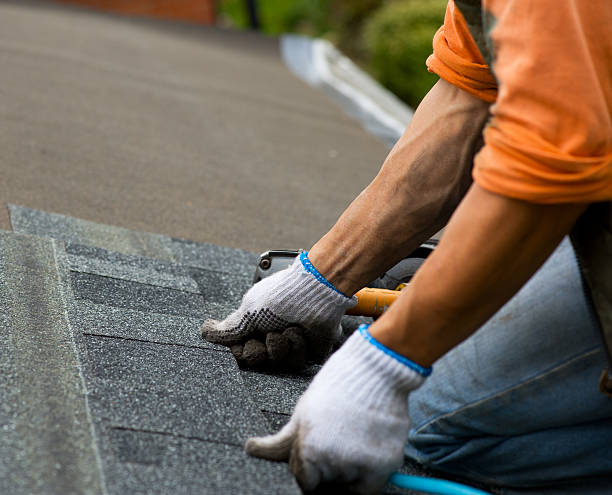 Best Roof Gutter Cleaning  in Gun Barrel City, TX